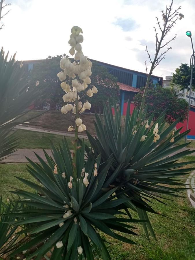 Mobiliado 10 Minutos Da Do Apartamento *